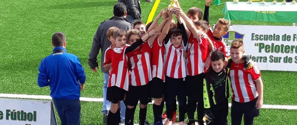 WhatsApp Image 2018-11-19 at 10.17.26