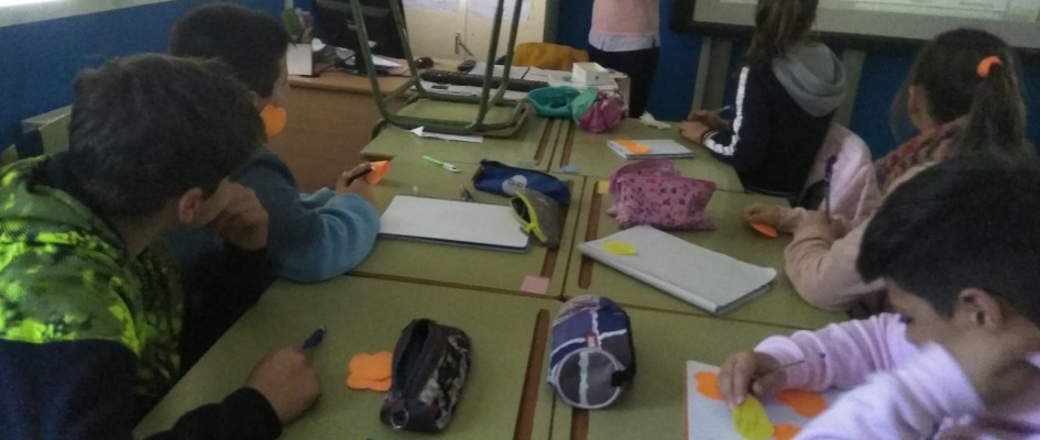 WhatsApp Image 2019-02-13 at 17.40.55 (1)