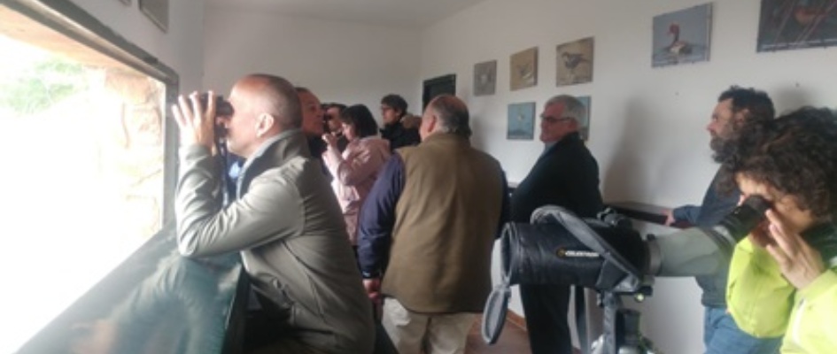 WhatsApp Image 2019-04-24 at 21.06.41 (1)-001doñana