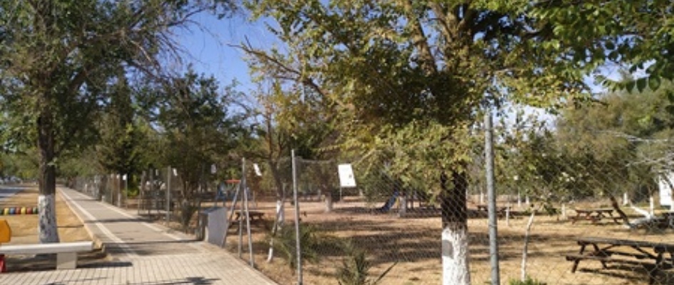 WhatsApp Image 2019-07-11 at 08.28.05-003cuidado arboles