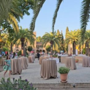 554016383_1219254813580277_1683175911624665592_n