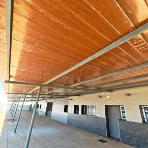 612912182_1305949854910772_2315231920460305620_n