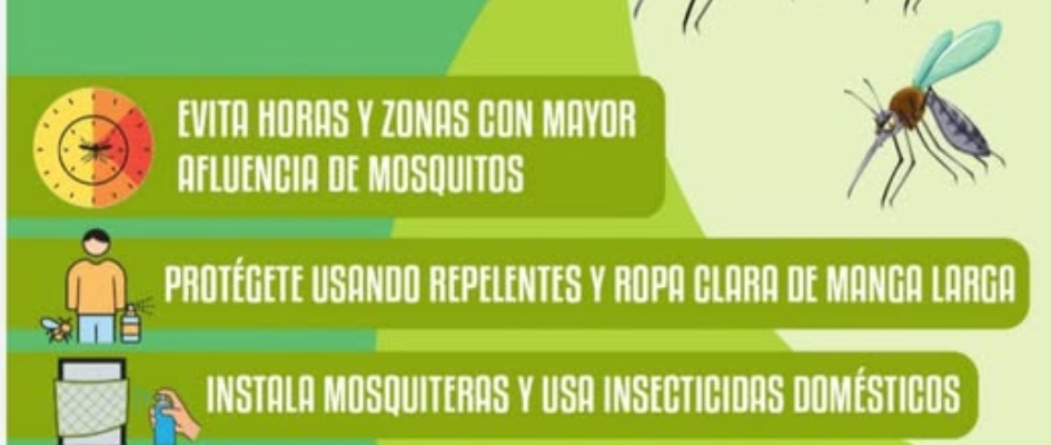 558780425_1233104785528613_3872323666310286217_n