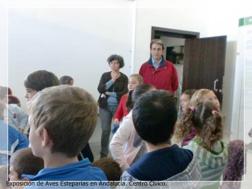 CIMG7608aves estaparias