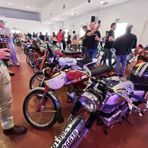 651010321_1360997066072717_1934950679336566759_n