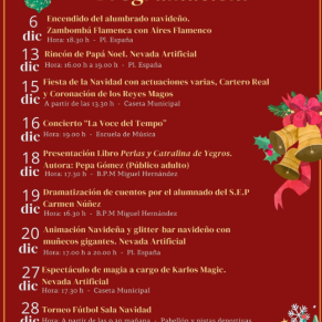 Captura de pantalla 2024-12-04 112313