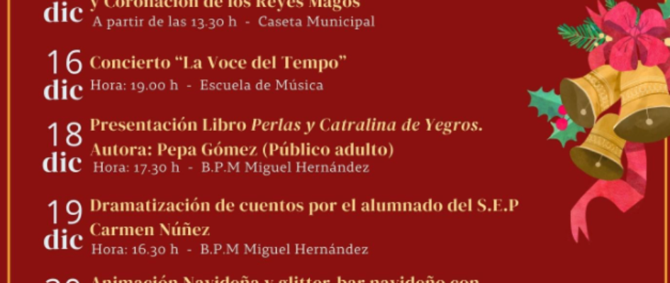 Captura de pantalla 2024-12-04 112313