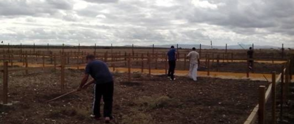 IMG-20141030-WA0004prxcticas_huertos.jpg