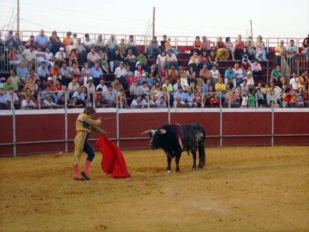 IMG_1287_450