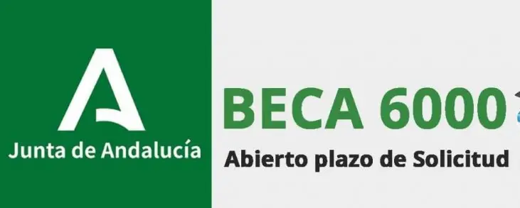 beca-6000