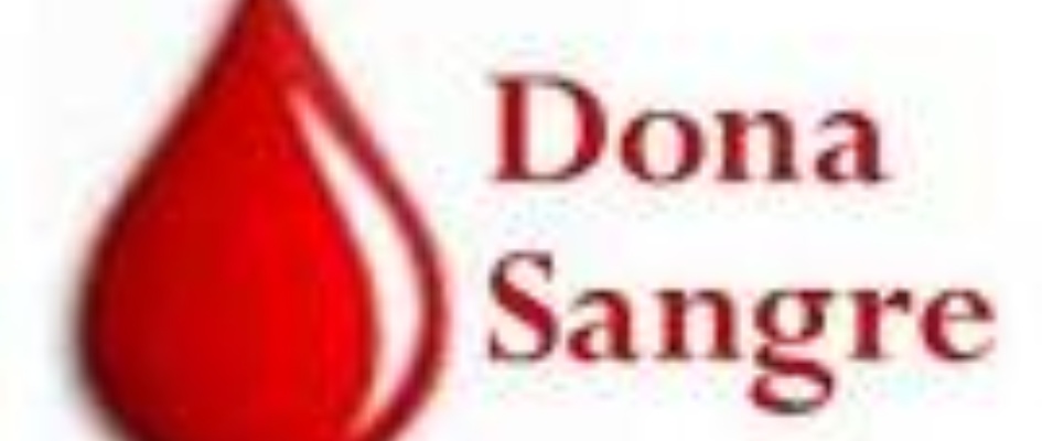 donar-sangre.jpg