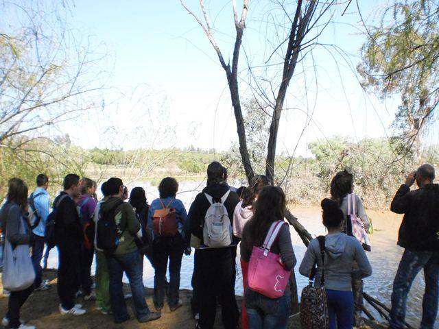 naturaleza en sevilla-02